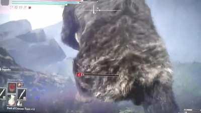 what the fuck was that??