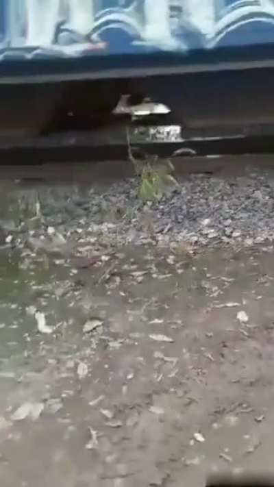 Cyclist Only Suffers Broken Rib from Train Selfie Attempt 