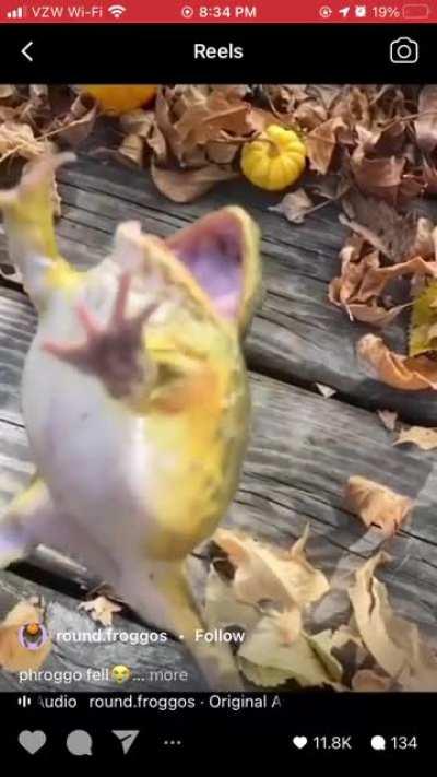 He took quite the leap!