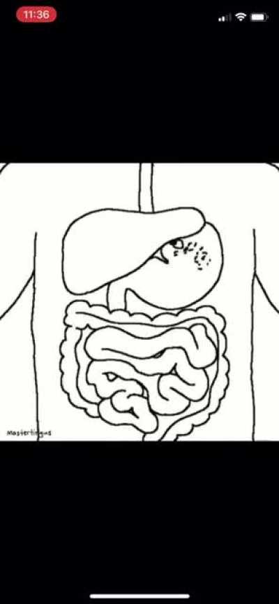 С наступившим!