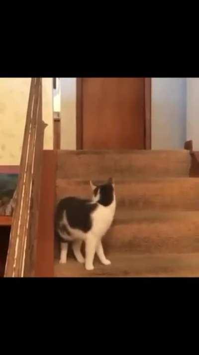 Oh' no 😱 she did not just ...