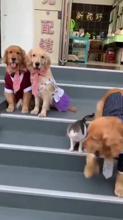 Você vai tirar a foto