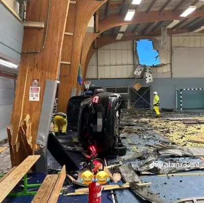 Free bird was probably playing 💀🩻🩻