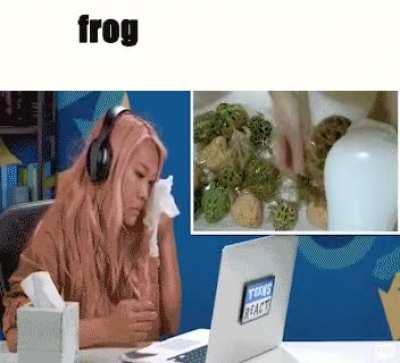 Frog 😢