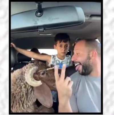 How the hell he convinced him, lmao