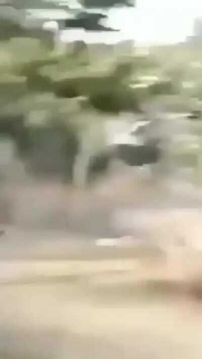 To skateboard on a trampoline