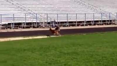 Track and field Dogberg!