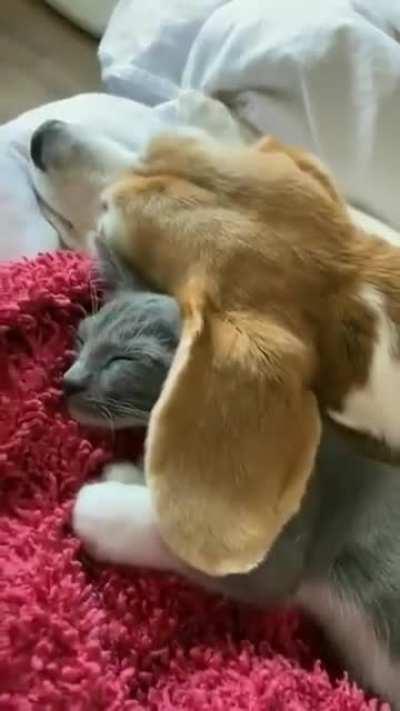 Just gonna save this real quick