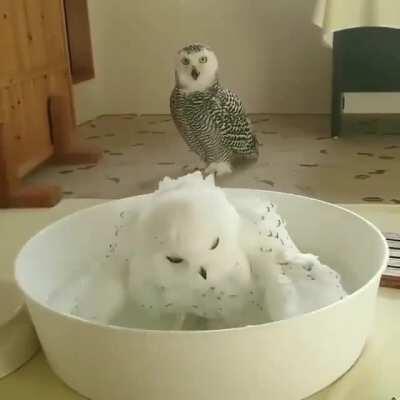 Задний план решает