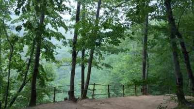Rain in the Russian mountain forest