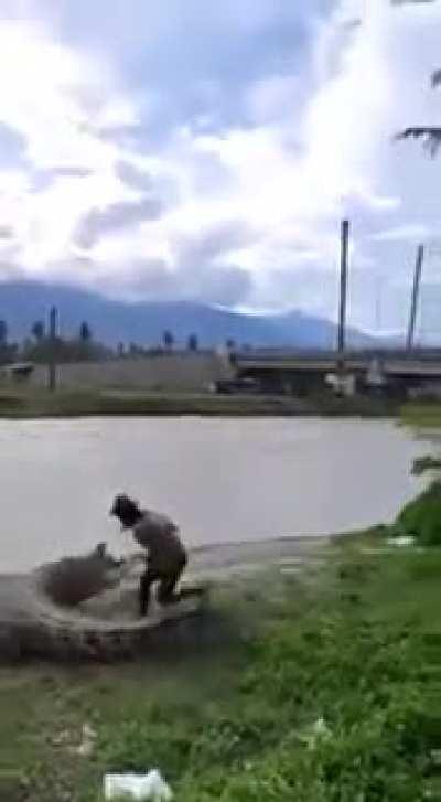 In a while, crocodile