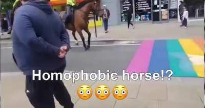 Homophobics 😔😔😔