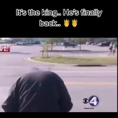 The return of the king