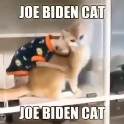 Guys this is literally joe Biden