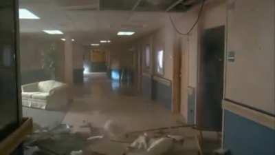 last chance to look at me eevee