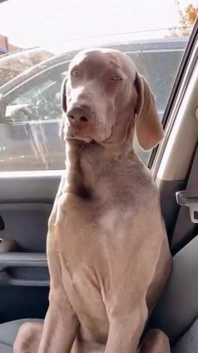 What?...no, I'm awake