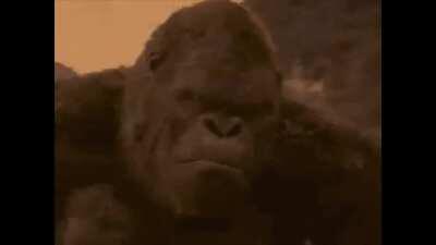 King Kong >>>>>>>>> Godzila