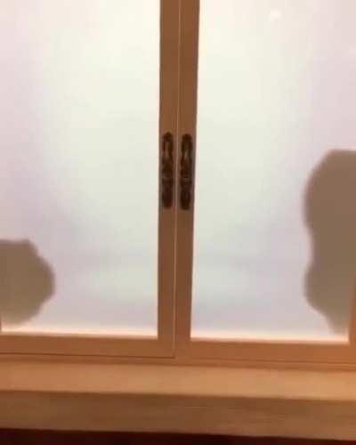 Toy story shadow box