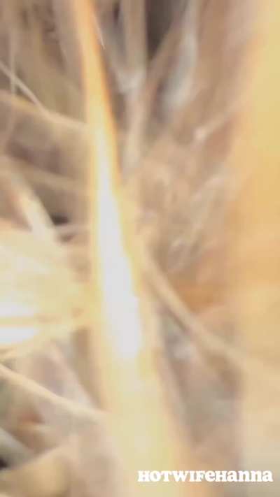 He used my pussy, then came in my mouth…