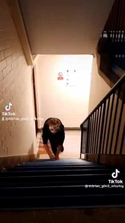 What happened to this generation?