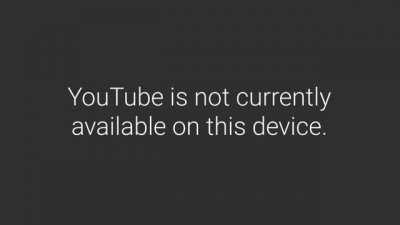 Orangutan driving golf cart