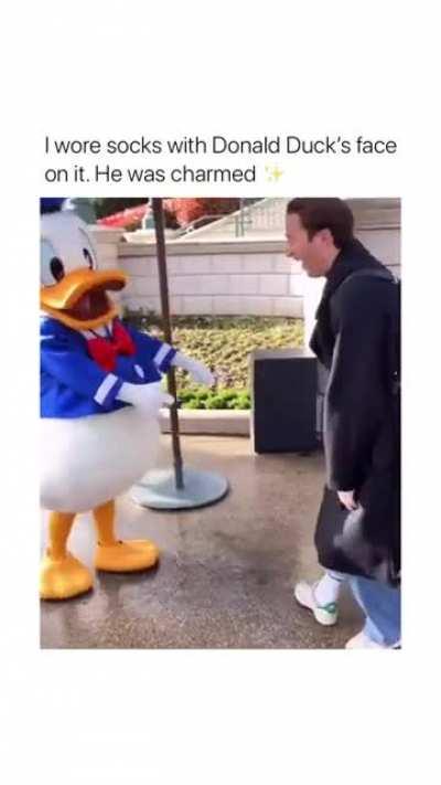 Donald Duck's happiness .