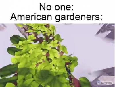 america