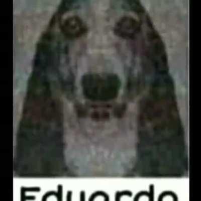 Eduardo😳😳