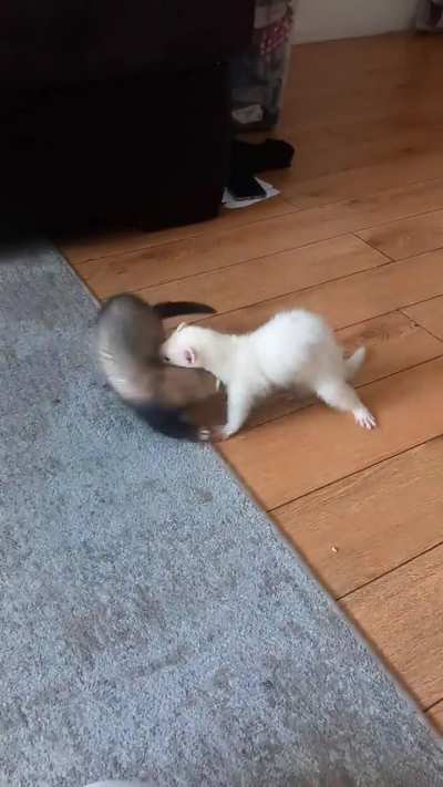 Jenny and her sister Elsa