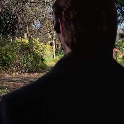 How I walk around campus after finishing finals now that my brain isn’t bogged by stress and can appreciate the nature