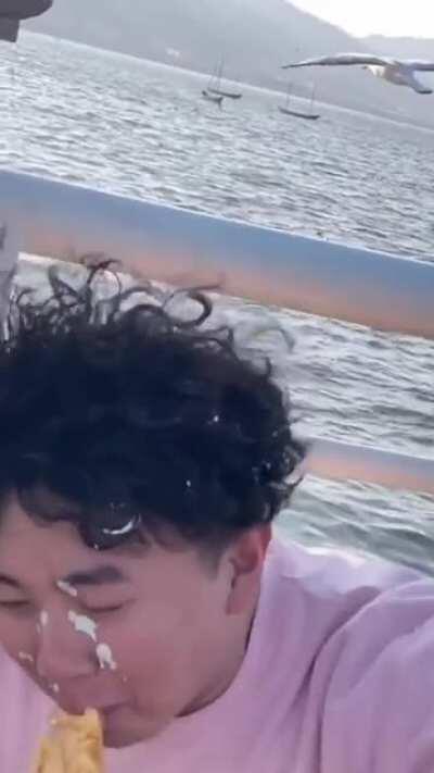 WCGW Feeding Seagulls