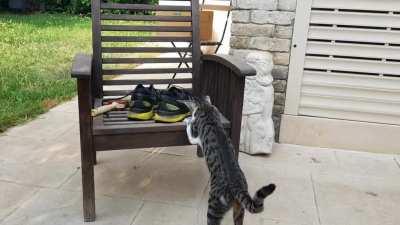 She really likes shoelaces