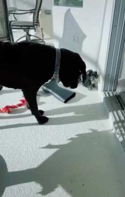 Oh....OH. OH. THAT’S WHAT THAT IS...