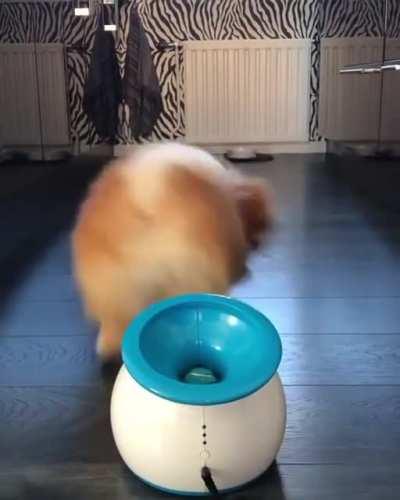 Hurry up and throw it!