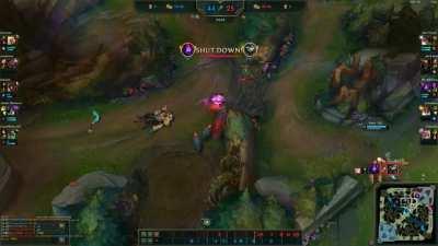 Chickens spreading space aids