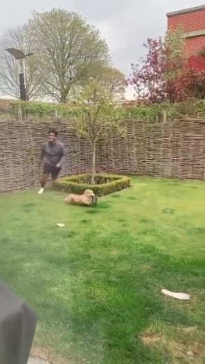 Who is the fastest Boi?!