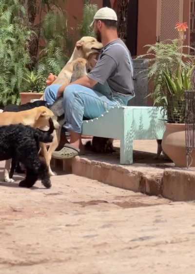 Just some of the perks,  working at our animal sanctuary