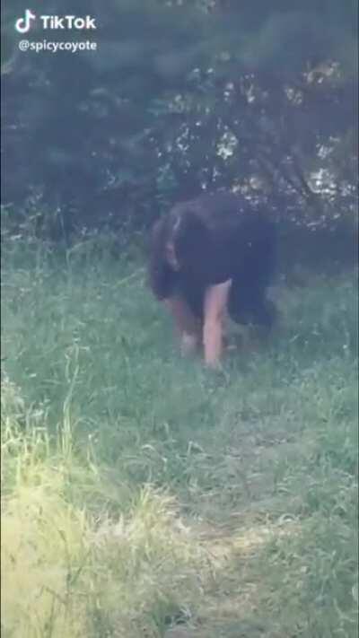 Catch that roadrunner my girl