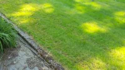 Tragedy plus time equals comedy