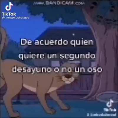 o no un oso