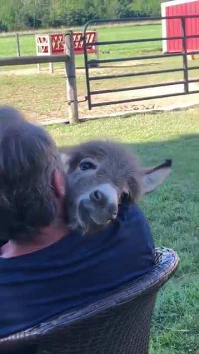 Somewhere over the rainbow