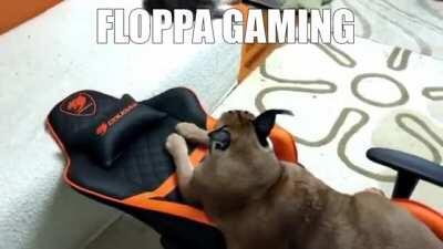 He gaming tho.