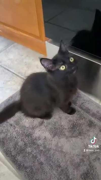 Kiki is demanding food as it’s being platted. She’s a little impatient void.