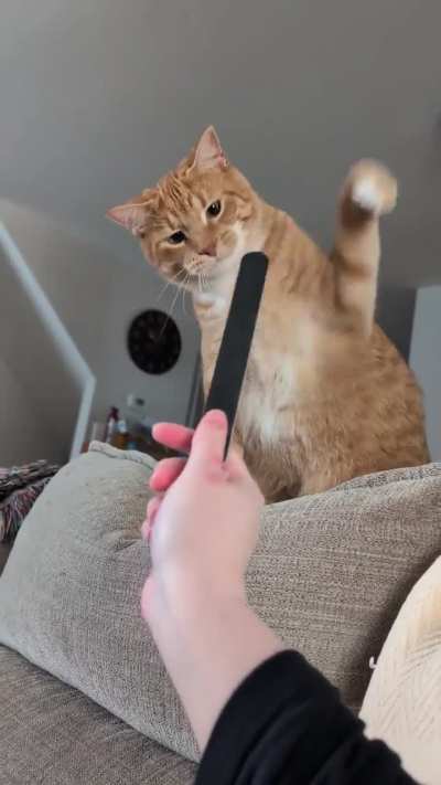 Let's see who has the last derp