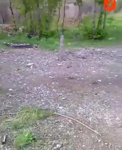 What the fuck was he expecting?