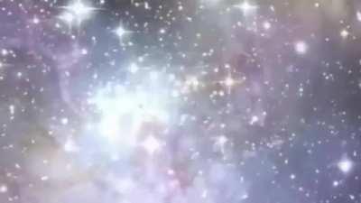 Plot twist,9 era o nome da ovelha que nao morreu.