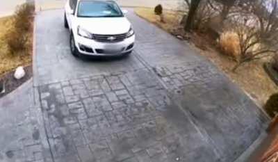 And other members of the family...