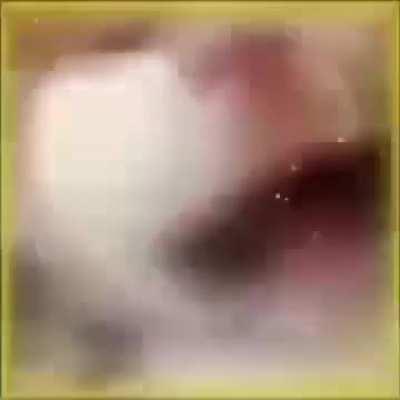 We stay silly (war crimes)