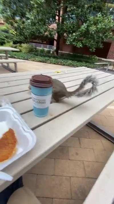 Filming yourself eating pancakes?