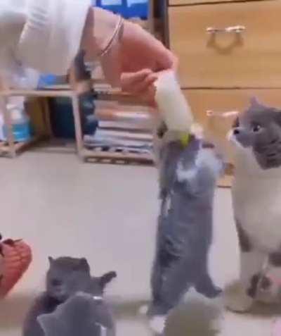 When you're super hungry